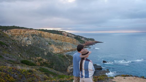 Comment organiser un camping pour observer les animaux nocturnes en forêt?
