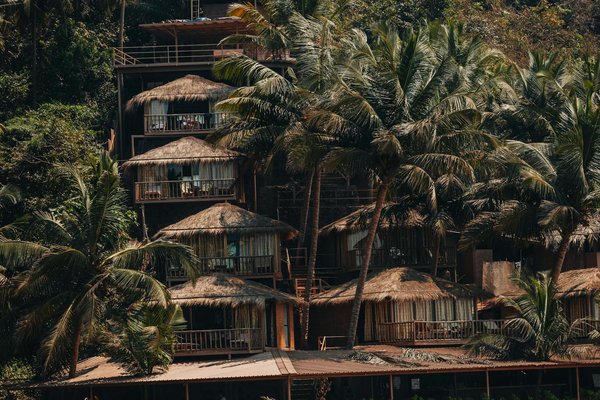 Comment organiser une expédition pour observer les lynx dans les Carpates, Roumanie?