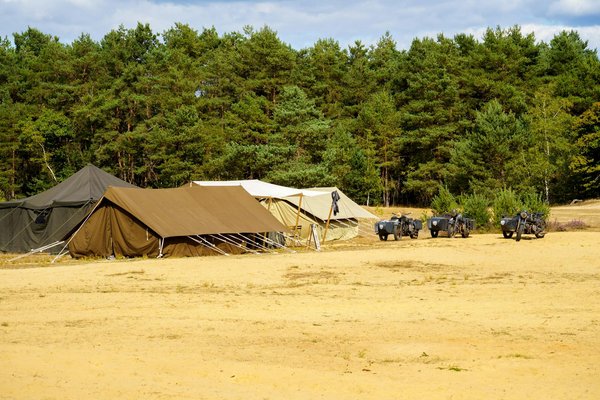 Quelles croisières proposent des sessions de méditation sur des plages isolées aux Maldives?