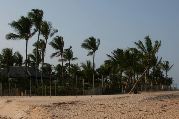 Quels sont les meilleurs circuits pour découvrir les temples hindous en Inde du Sud : itinéraires et périodes ?